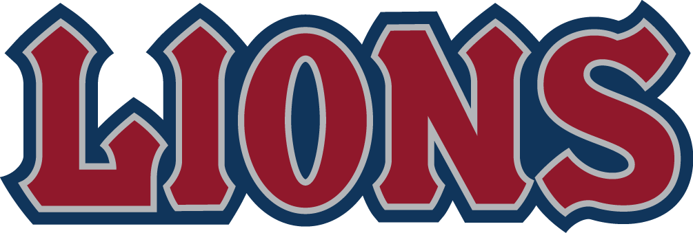 Loyola Marymount Lions 2008-2018 Wordmark Logo v2 diy iron on heat transfer